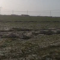 زمین-کشاورزی