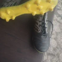 کتونی|کیف، کفش، کمربند|قم, شهدا|دیوار