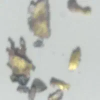 طلا حدود یک گرم نیم تا ۳گرم