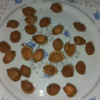 تخمه|خوردنی و آشامیدنی|بسطام, |دیوار