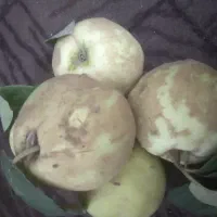 به درجه ۱