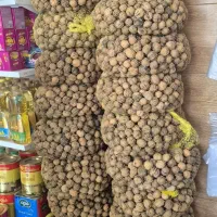 گردو لاله زار بردسیر