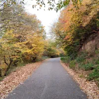 زمین ۳۶۵ متر مسکونی|فروش زمین و ملک کلنگی|رستم‌آباد, |دیوار