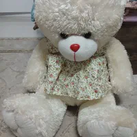 دو عدد عروسک خرس