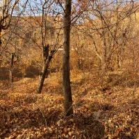 باغ ماشین رو کنار رودخانه روستای مورود