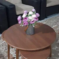 میز جلومبلی و عسلی غنچه