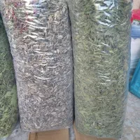 تخمه افتابگردان|خوردنی و آشامیدنی|قروه, |دیوار