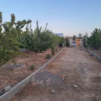 باغ با درختان بزرگ|فروش زمین و ملک کلنگی|مشهد, درزآب|دیوار