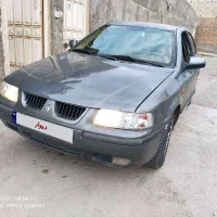 سمندخاکستری84
