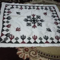 روپوش پلیواری