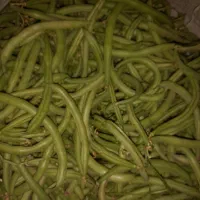 لوبیاسبز بدون نخ