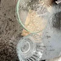 میوخوری بزرگ و متوسط
