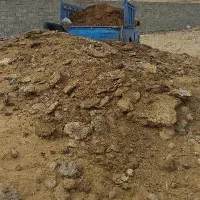 کود گوسفندی خشک