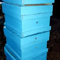 کندو زنبور درجه یک