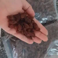 فروش|خوردنی و آشامیدنی|قدس, شهرقدس|دیوار