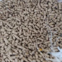 خوراک دام|لوازم جانبی حیوانات|الیگودرز, |دیوار