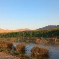 زمین کشاورزی