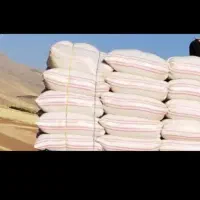 کاه گندم دیم ریز