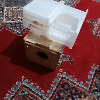 لانه و دانه خوری