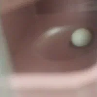 یک جفت مرغ عشق|پرنده|مبارکه, |دیوار