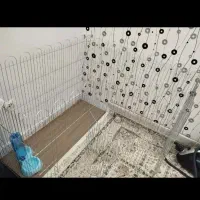 وسایل حیوانات