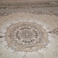 روفرشی مخمل|روفرشی|مشکین‌دشت, |دیوار