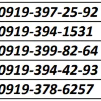 0919.372.40.98|سیم‌کارت|اسلام‌شهر, زرافشان|دیوار