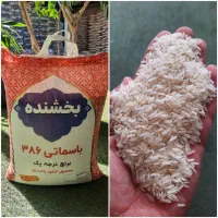 برنج386بخشنده