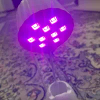 UV انگشتی|آرایشی، بهداشتی، درمانی|تهران, دریان‌نو|دیوار