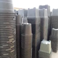 گلدان پلاستیکی گلخانه ای نشایی و سطل و جعبه ای|گل و گیاه طبیعی|کهریزک, |دیوار