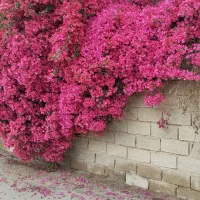 کار در منزل