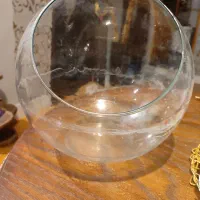 تراریوم کوچک|ماهی|صدرا-فارس, فاز ۱|دیوار