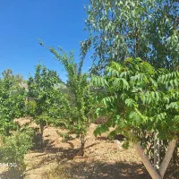 ویلا باغ فدک الزهرا