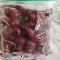 زغال اخته منجمد