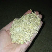 فروش عمده جو