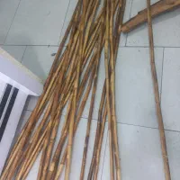 چوب بامبو چوب پرچم