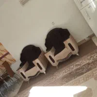 اجاره کوتاه مدت ۶۵ متری|اجارهٔ کوتاهمدت آپارتمان و سوئیت|آمل, |دیوار