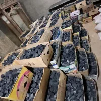 ذغال قلیان (شمش و برش خورده) و ذغال کبابی (فشرده)