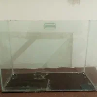 سلام آکواریوم بزرگ و معاوضه می کونم با گوپی|ماهی|مشهد, کوشش|دیوار