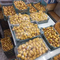 خرما|عمده‌فروشی|اشتهارد, |دیوار