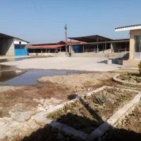 دامداری صنعتی باقابلیت تغییر کاربری|فروش دفتر صنعتی، کشاورزی، تجاری|ملکآباد, |دیوار