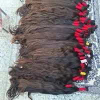 کوتاهی مو|خدمات آرایشگری و زیبایی|لامرد, |دیوار