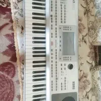 ارگ P80|پیانو، کیبورد، آکاردئون|جنت, |دیوار