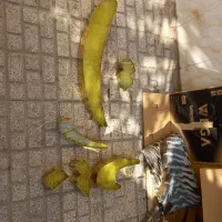 تابلو چلیوم پرژکتور لامپ مهتابی|لامپ و چراغ|مشهد, ایثارگران|دیوار