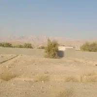 فروش زمین 300متر|فروش زمین و ملک کلنگی|ریز, |دیوار