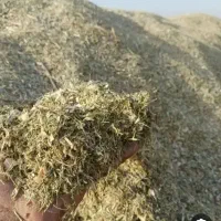 باسلام .فروش کاه لوبیا امسالی