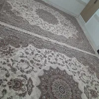 یک جفت فرش ۱۲ متری|فرش|بیرجند, |دیوار