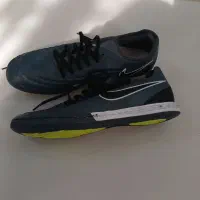 کتونی سالنی(نایک)