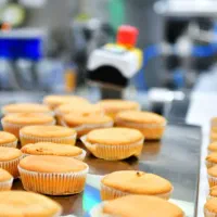 نیرو کار خانم