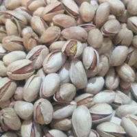 انواع مغزگلدارومغزکارگاهی|خوردنی و آشامیدنی|اسلامشهر, مظفریه|دیوار